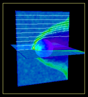 Hybrid Model Simulation of Venus Environement